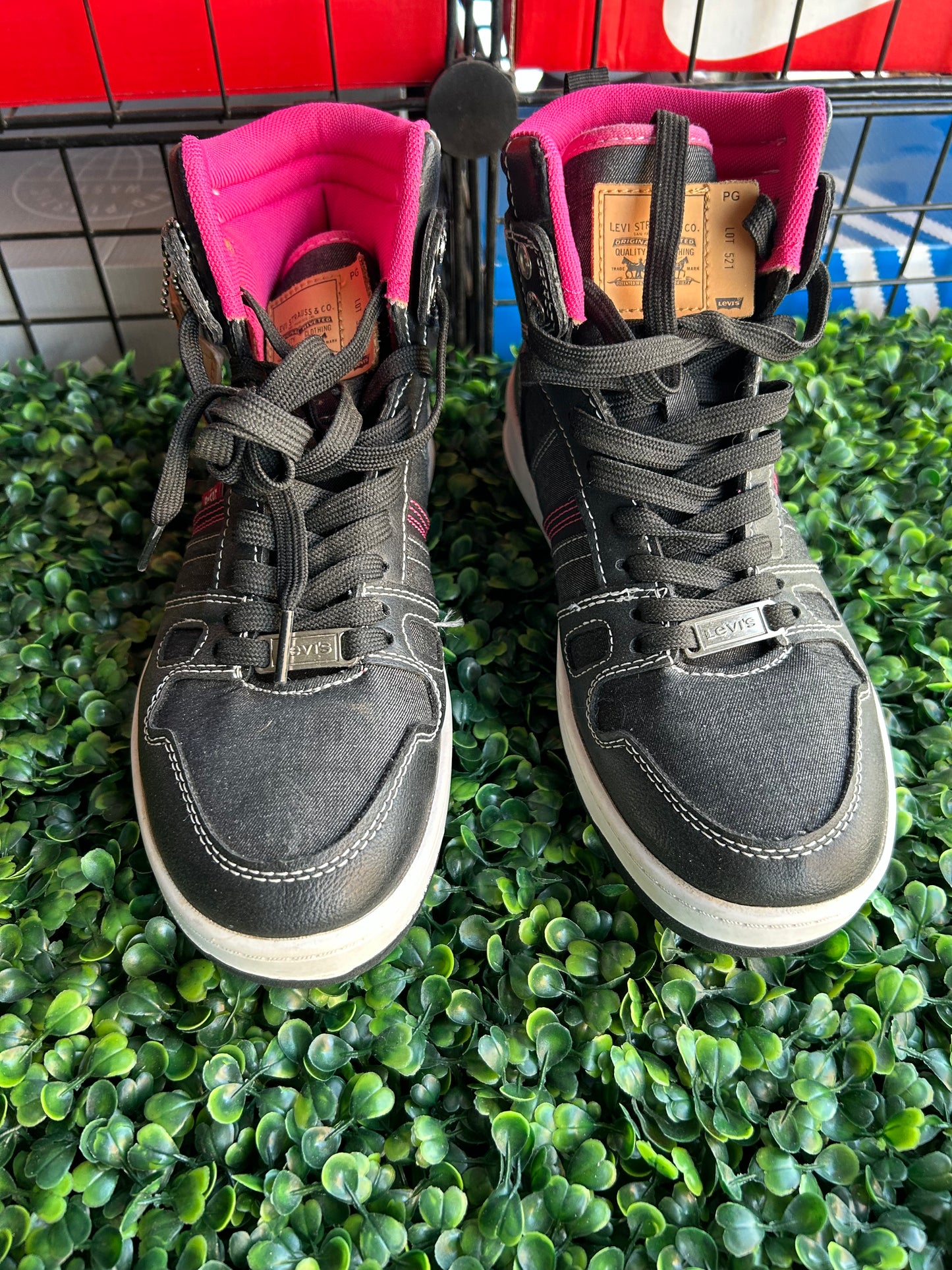 Levi size 7