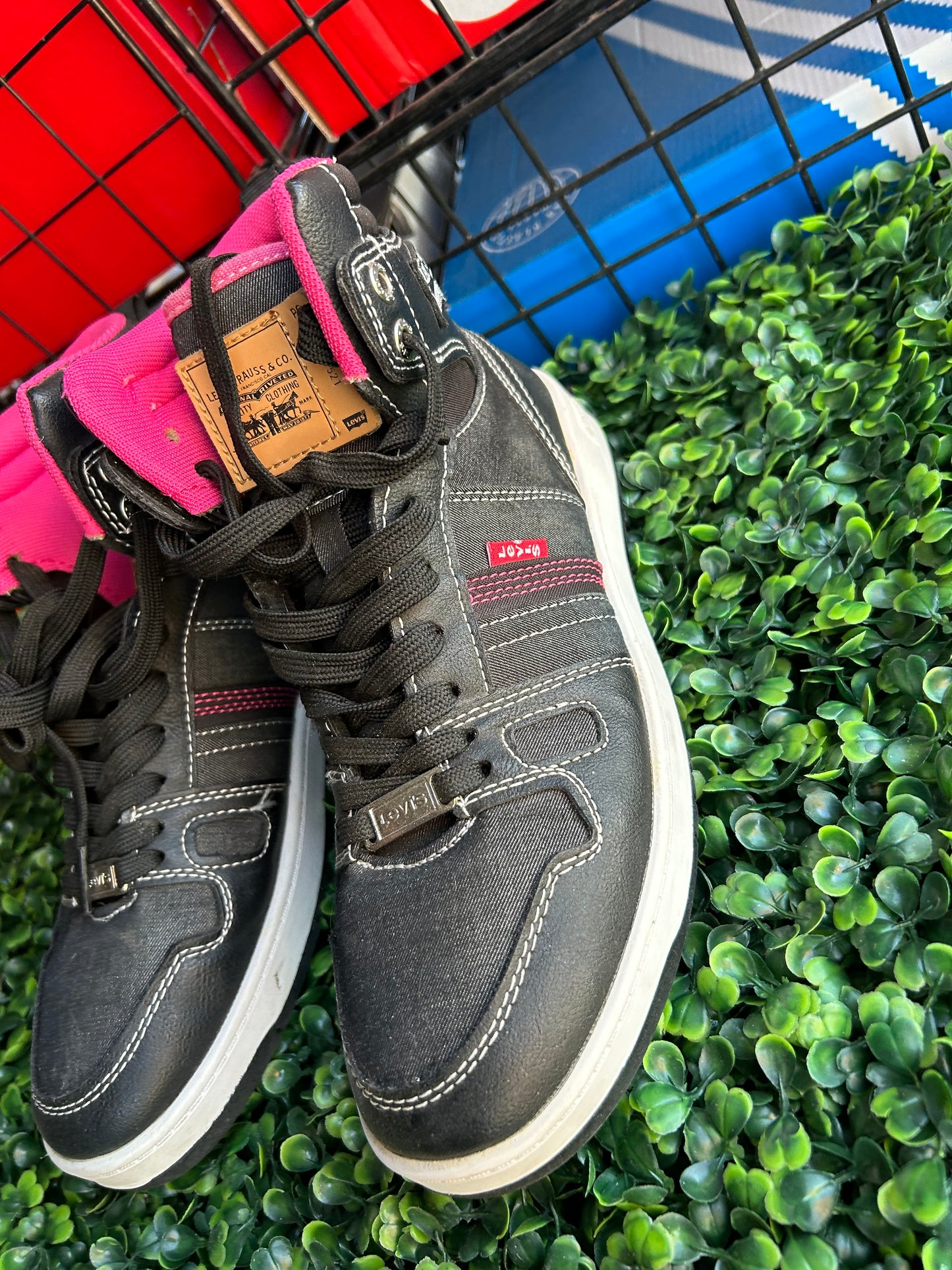 Levi size 7