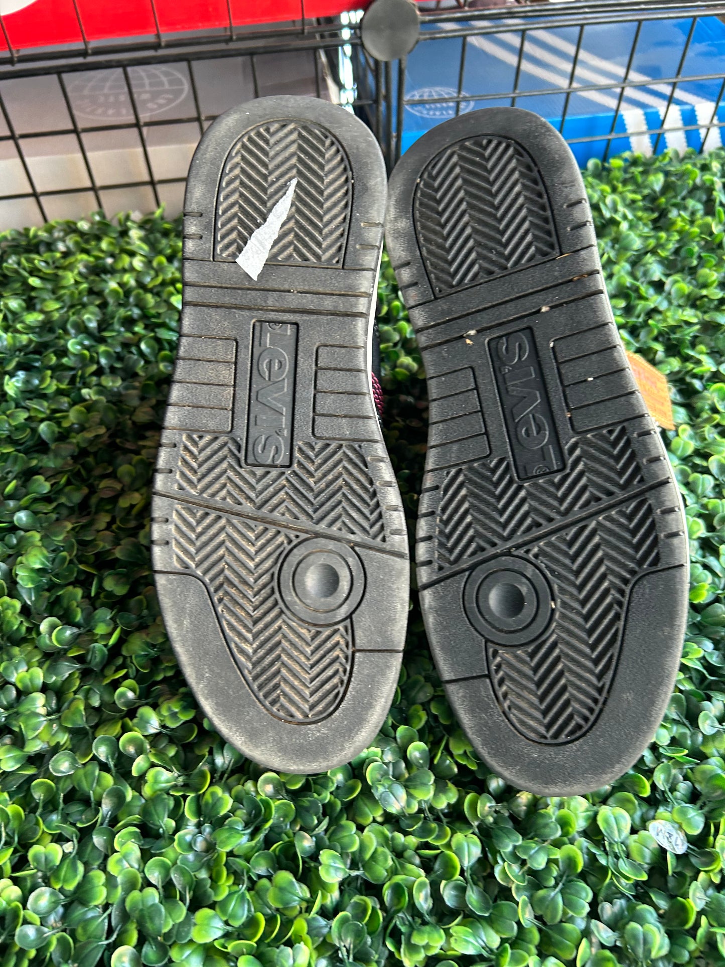 Levi size 7