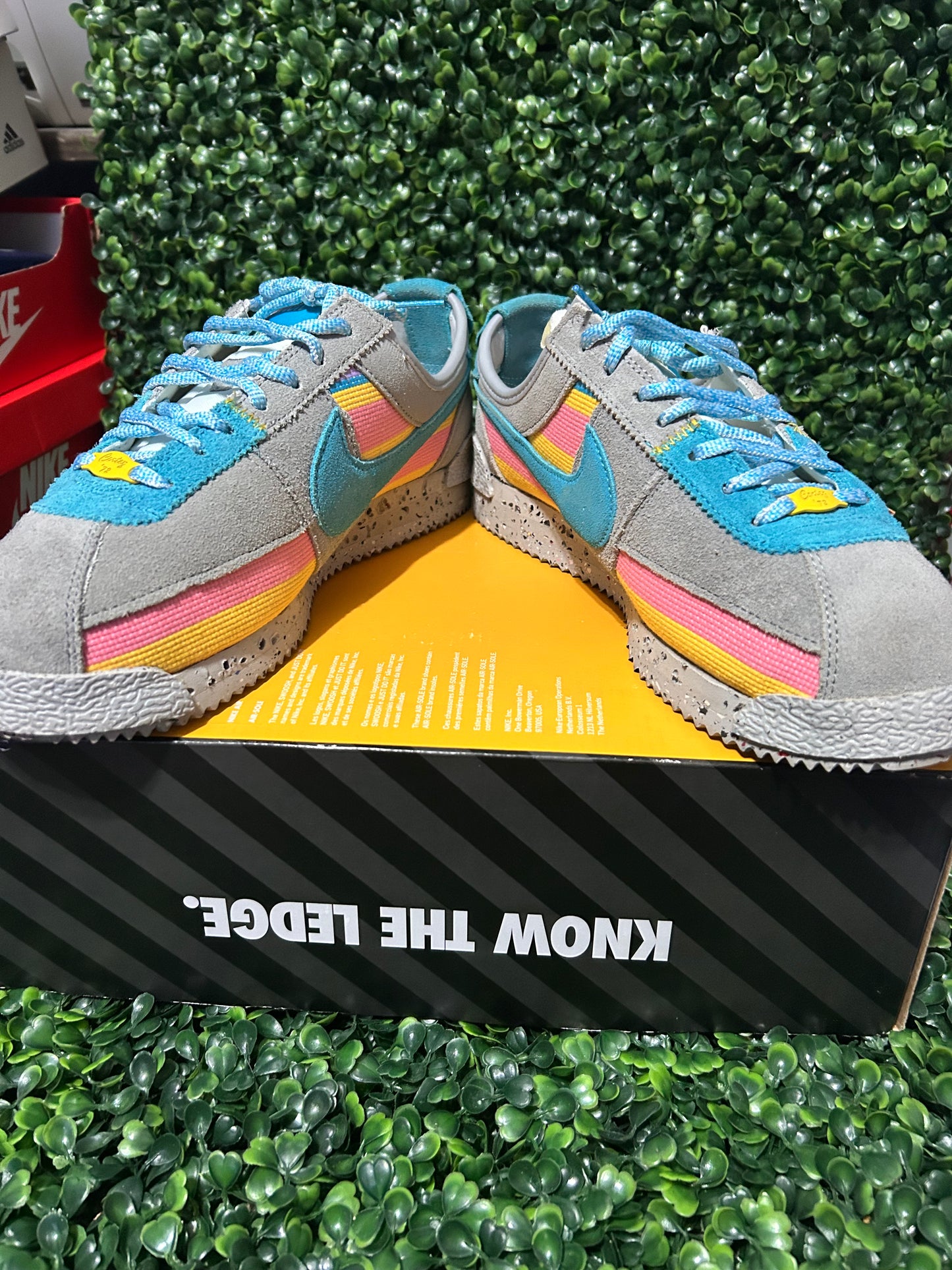 Nike cortez