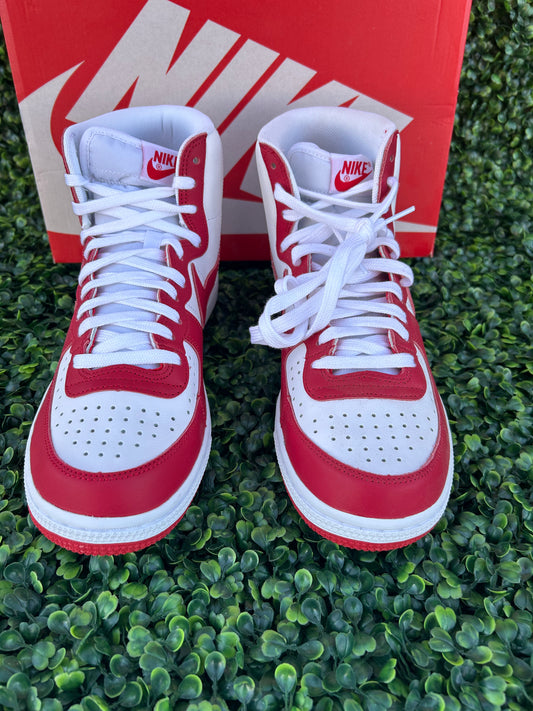 Nike terminator size 9