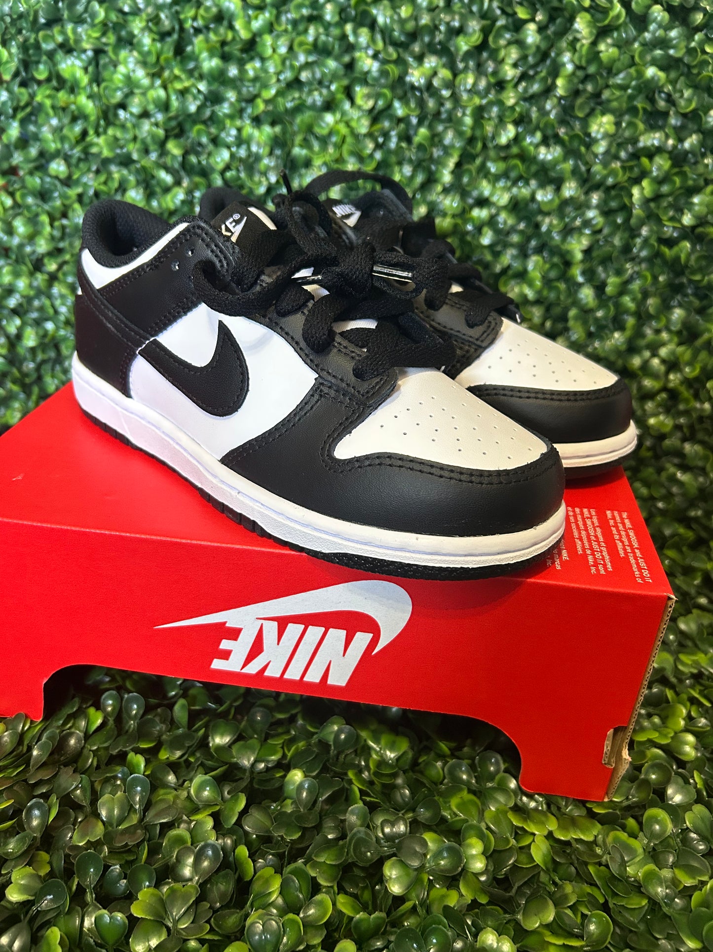 Nike dunk