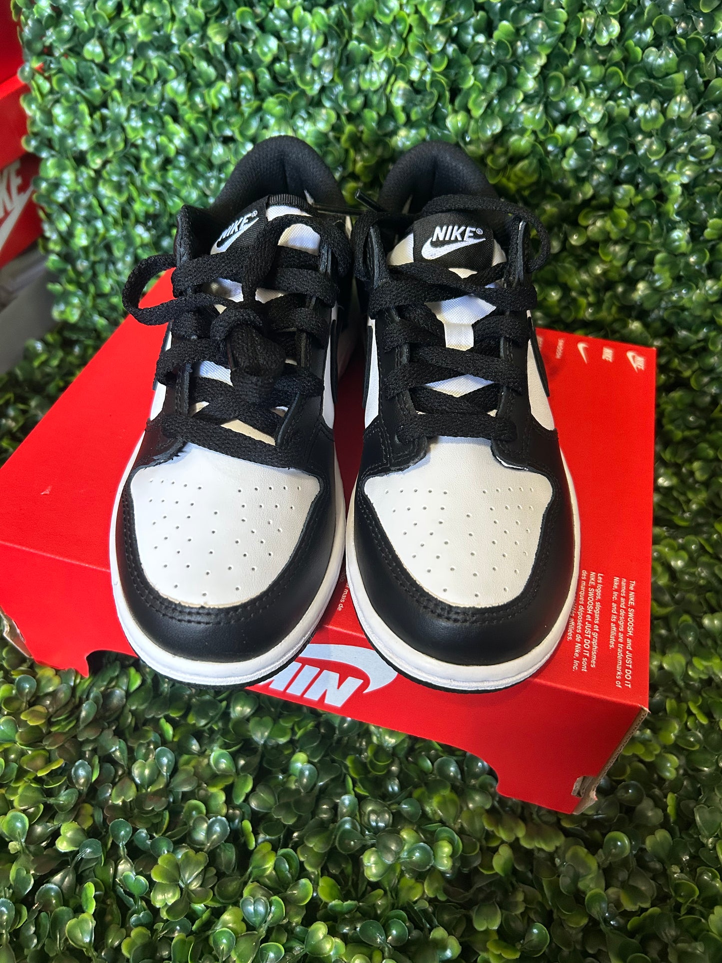Nike dunk