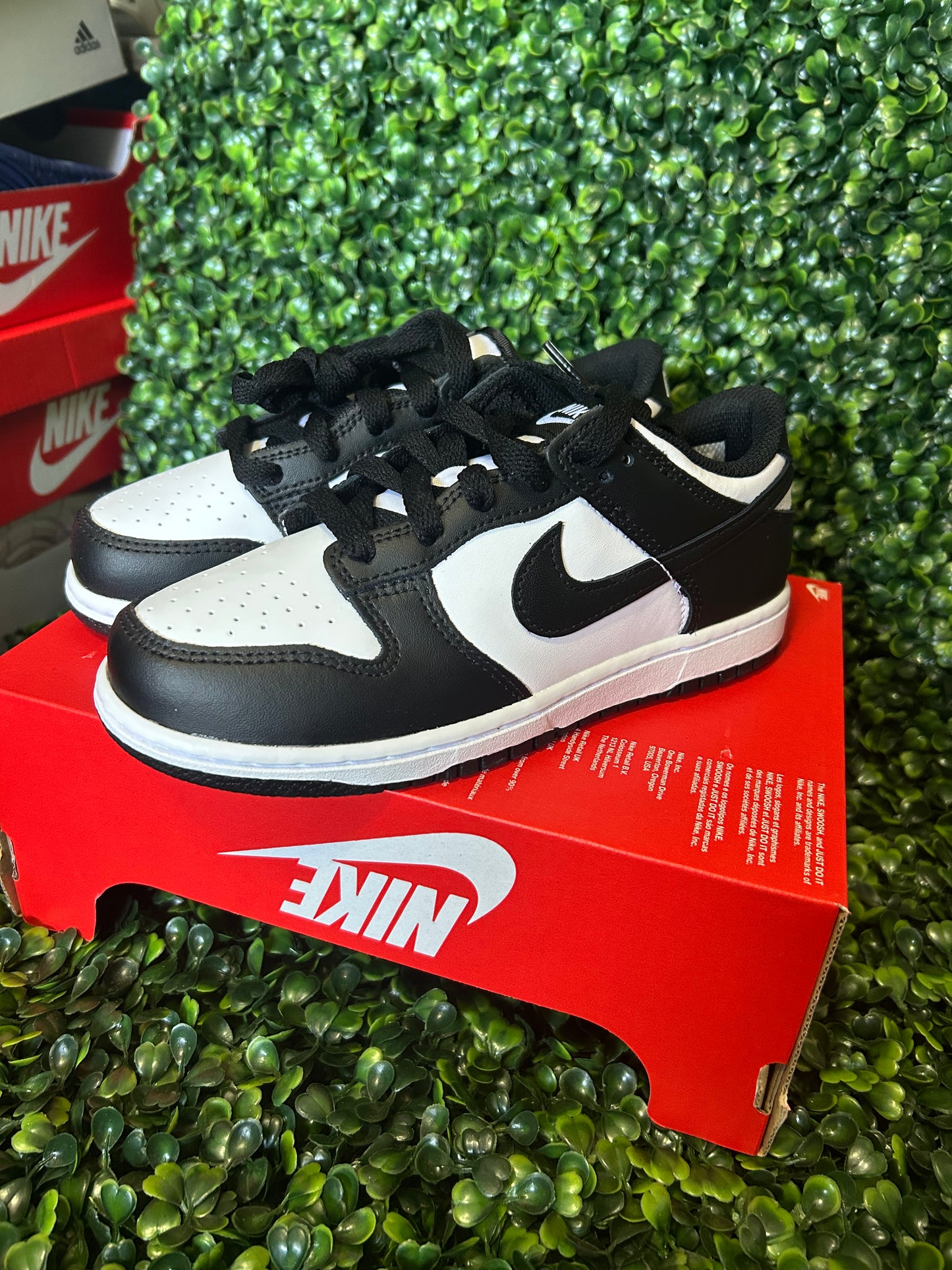 Nike dunk