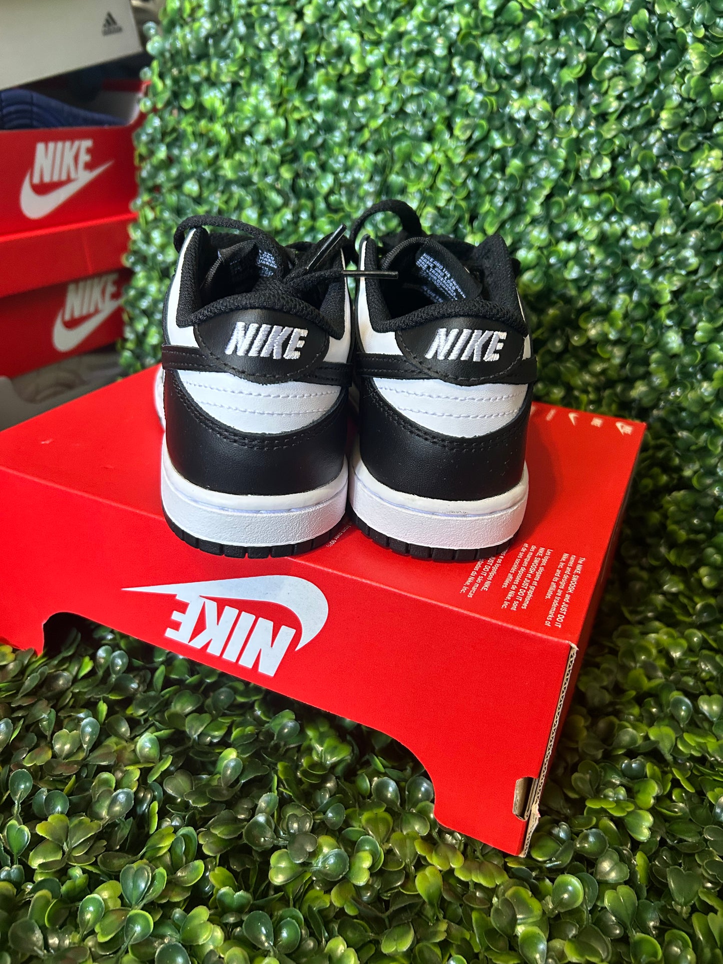 Nike dunk