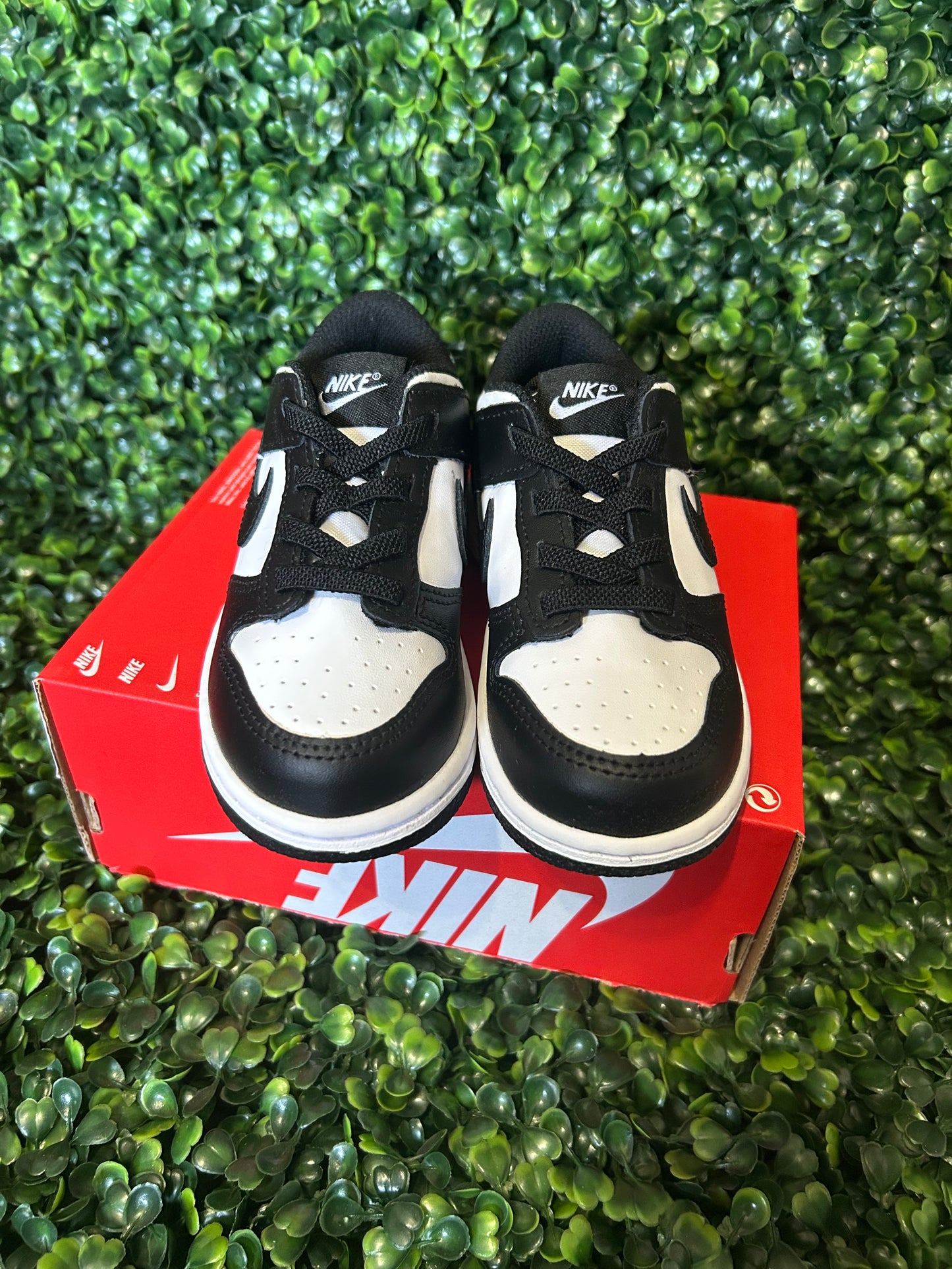 Nike dunk
