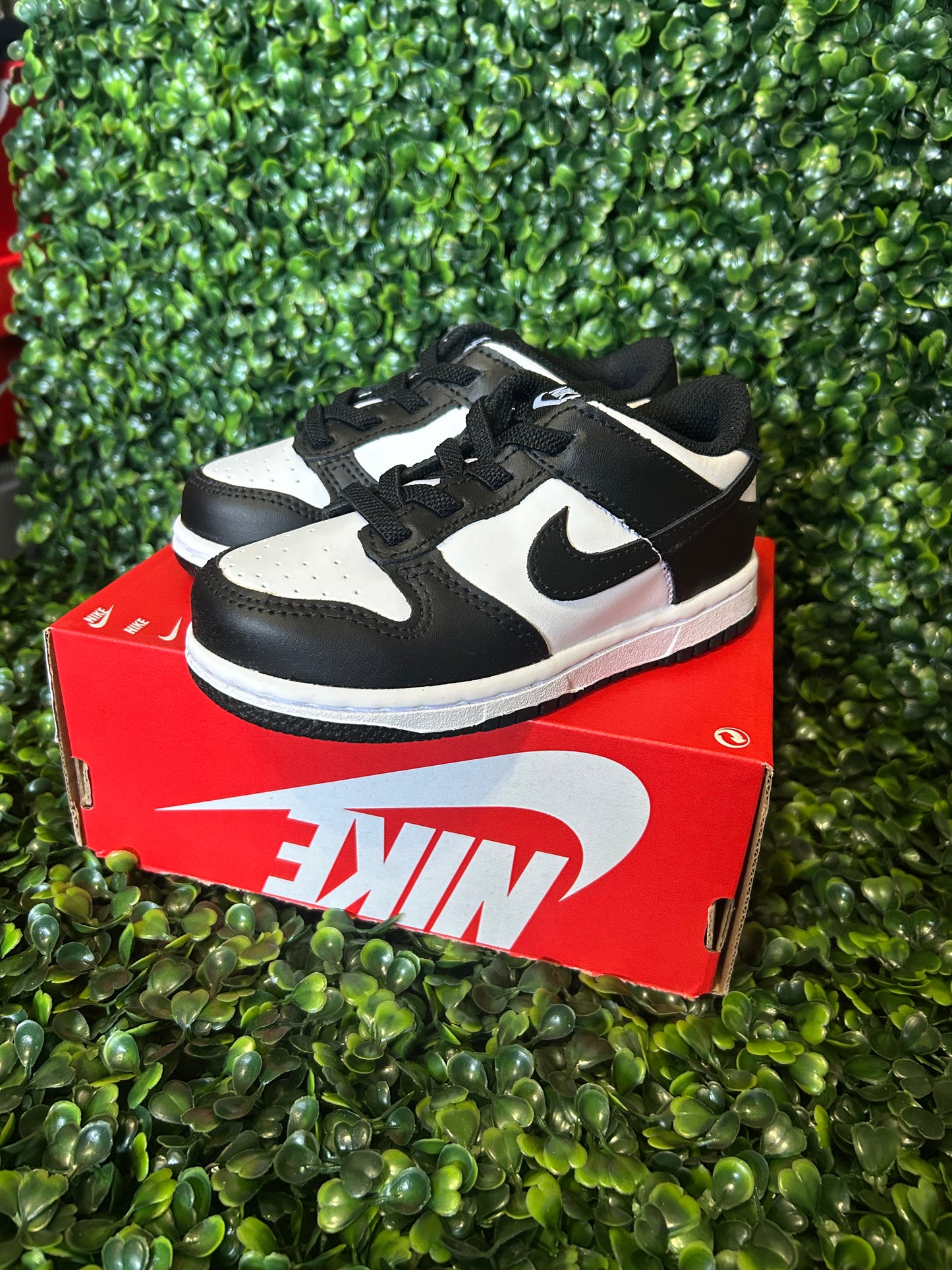 Nike dunk