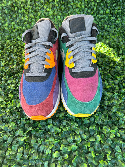 Nike air max 90 viotech size 11m