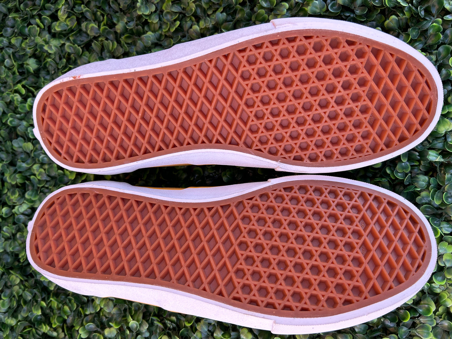 Vans era pro size 10