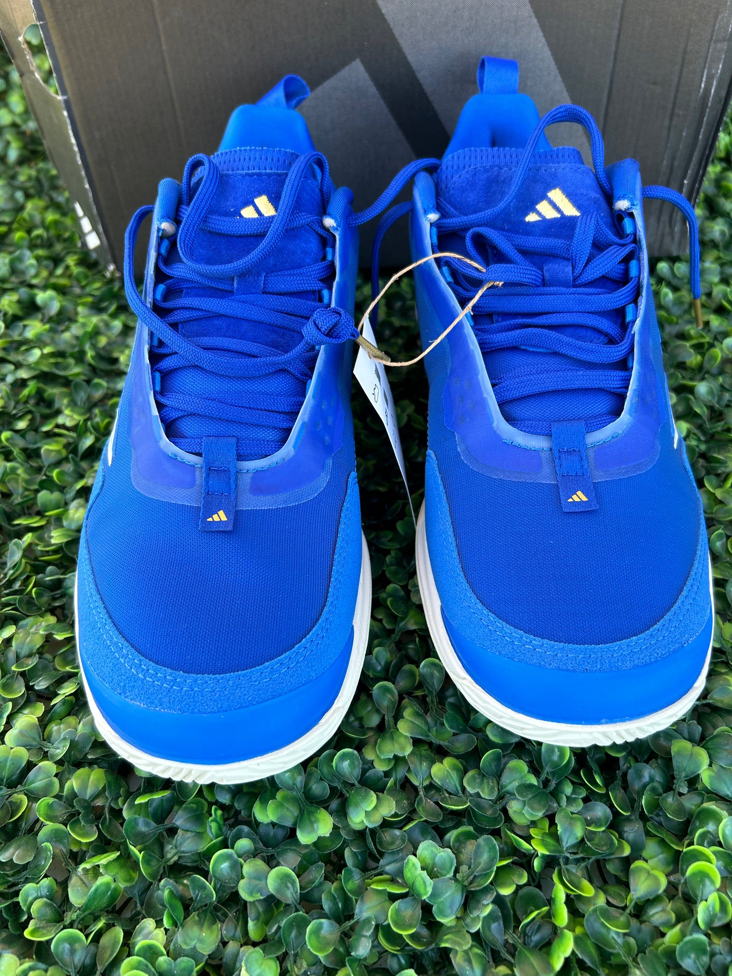 Adidas avacourt size 9w