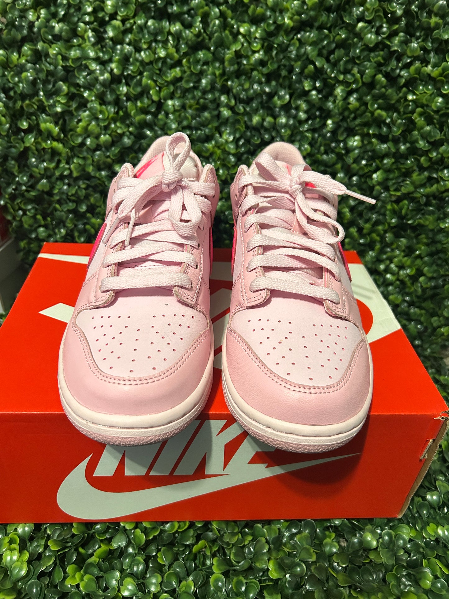 Nike dunk