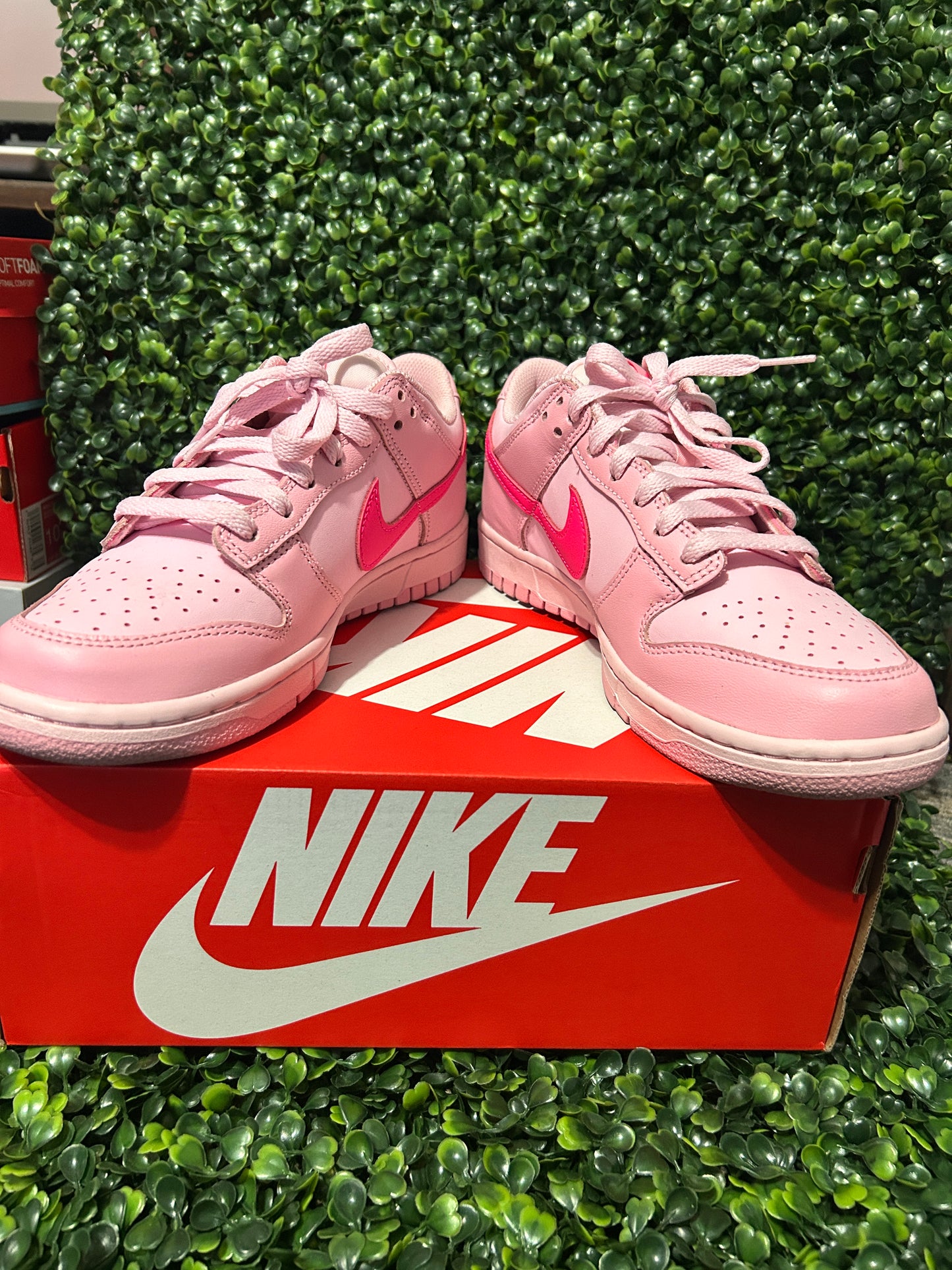 Nike dunk