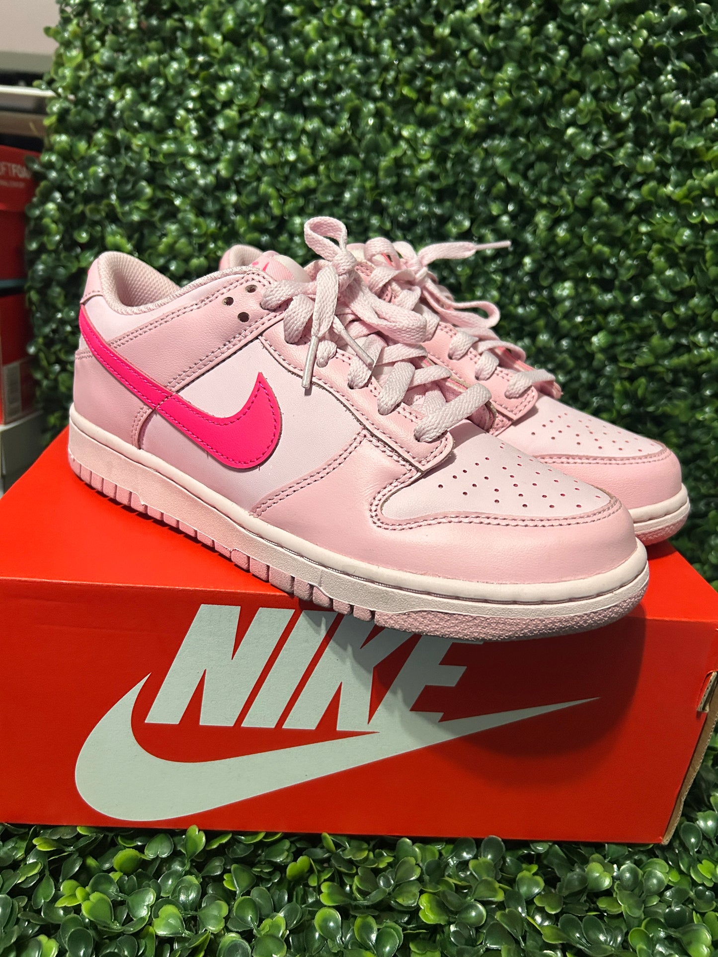 Nike dunk