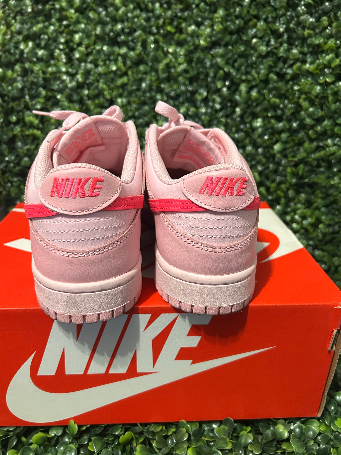 Nike dunk