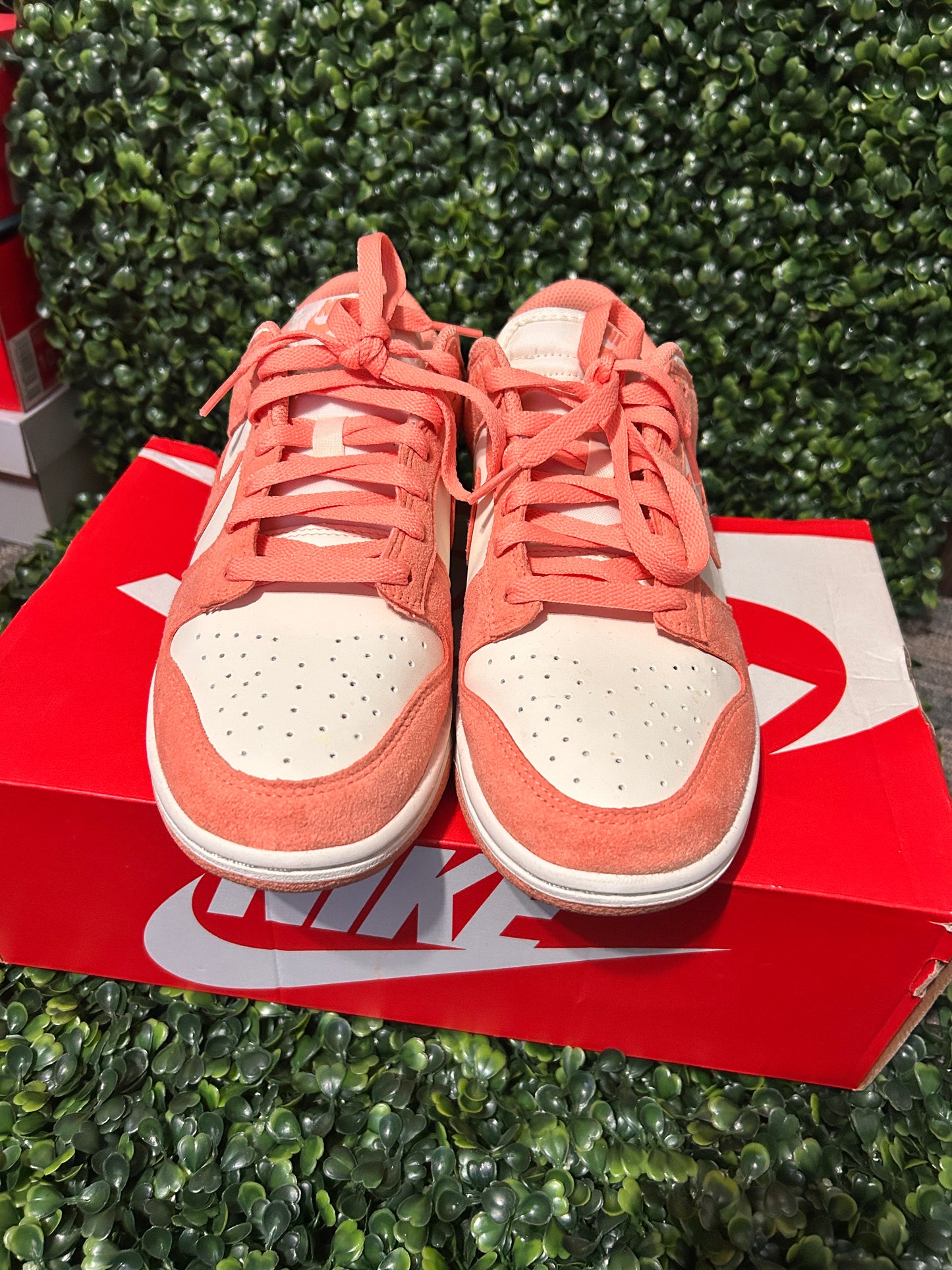 Nike dunk