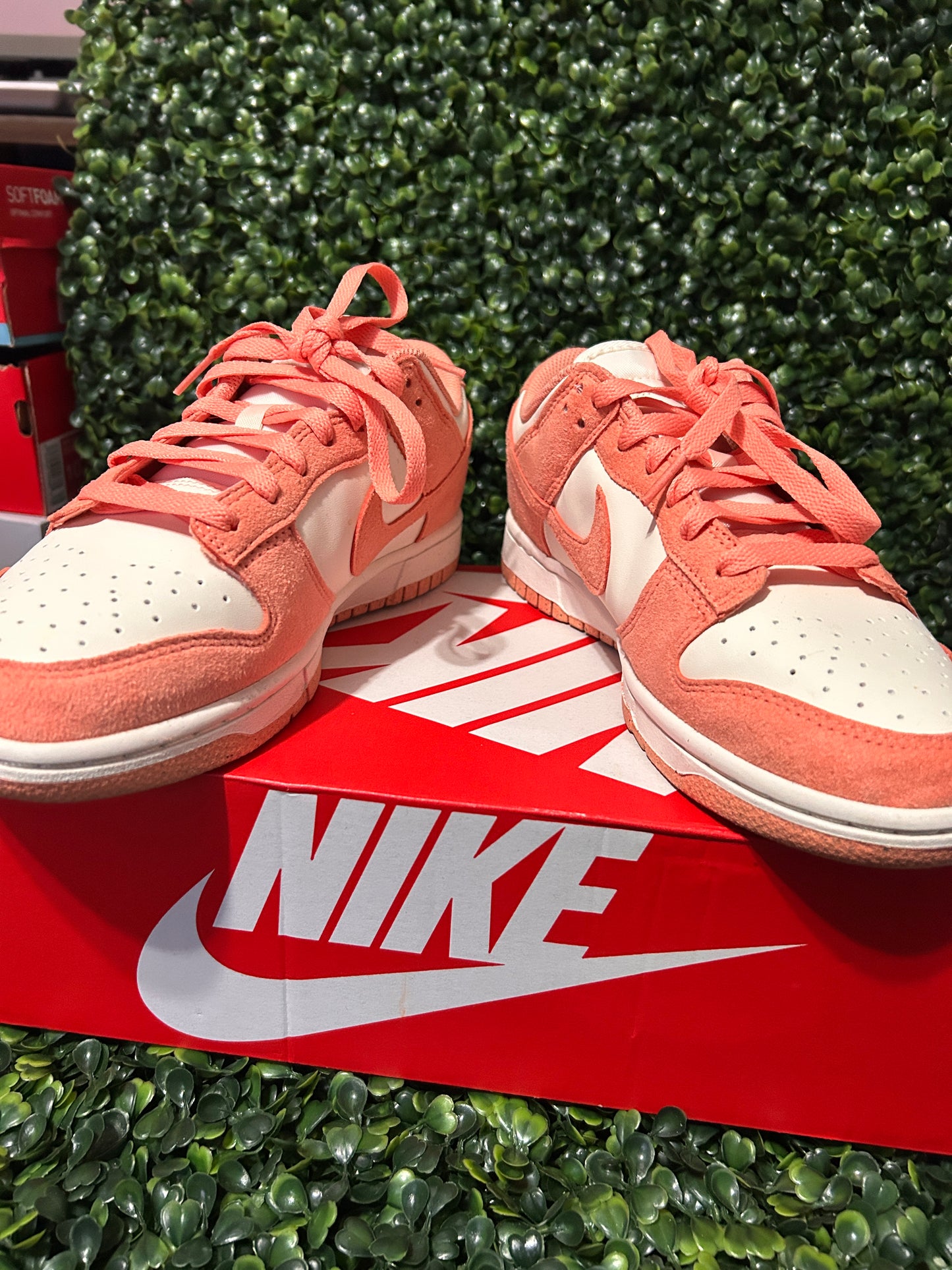 Nike dunk