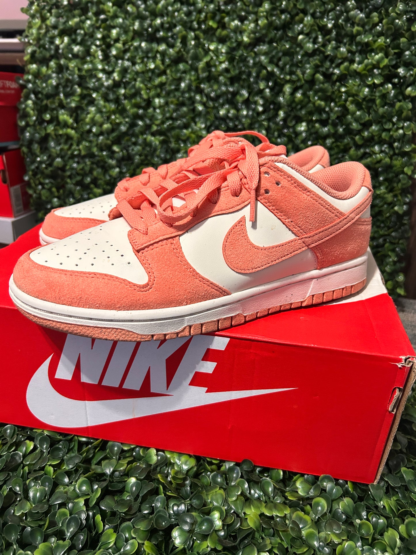 Nike dunk