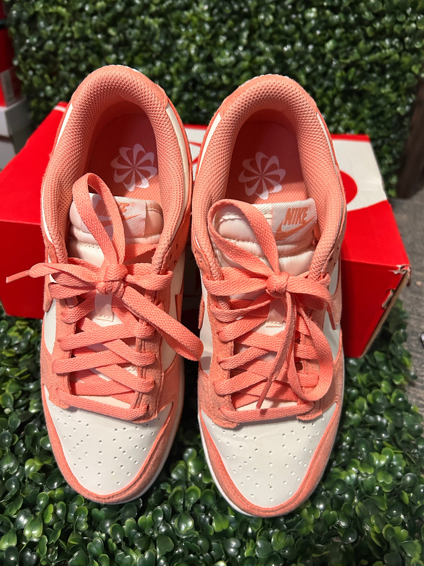 Nike dunk