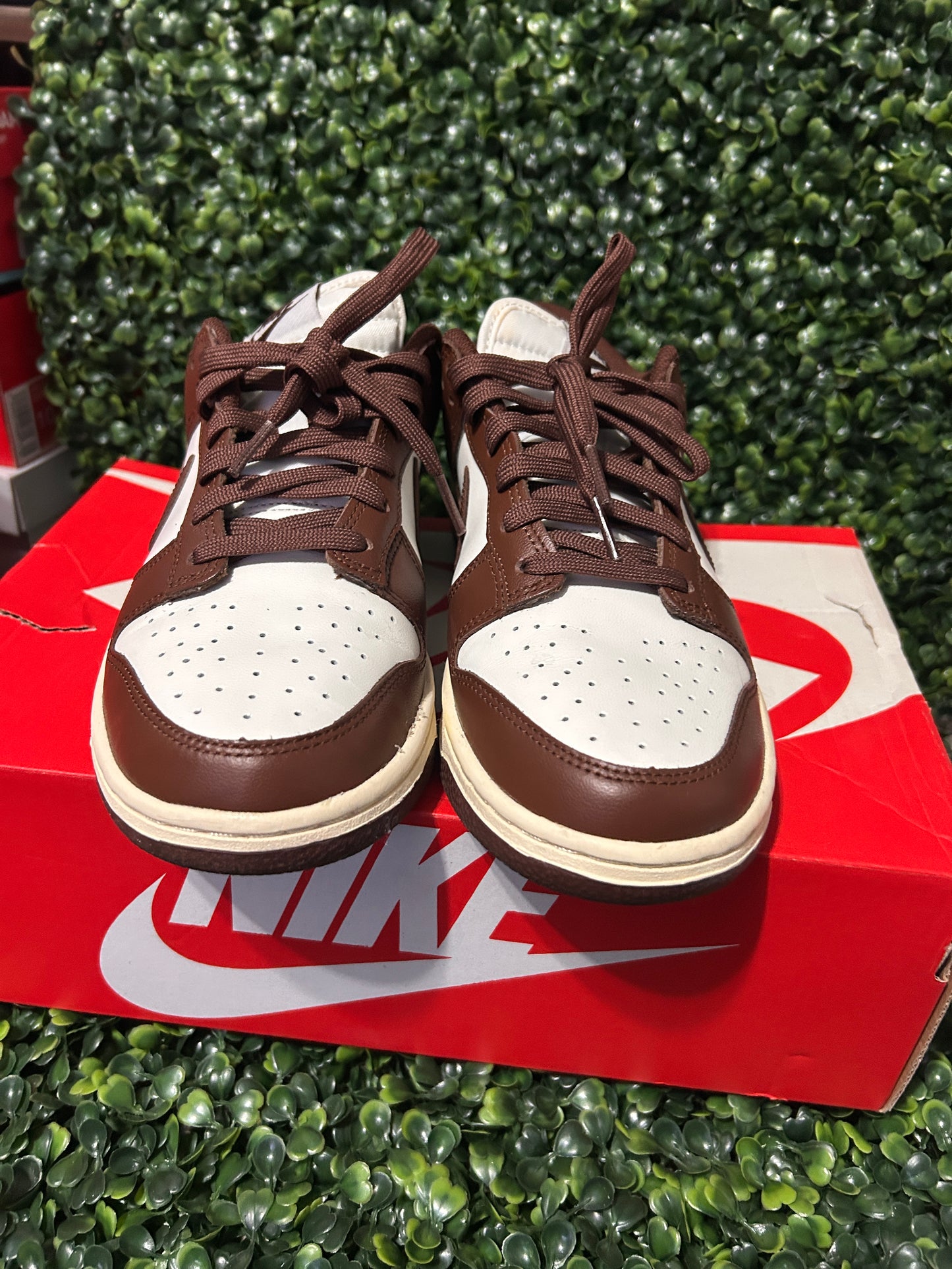 Nike dunk