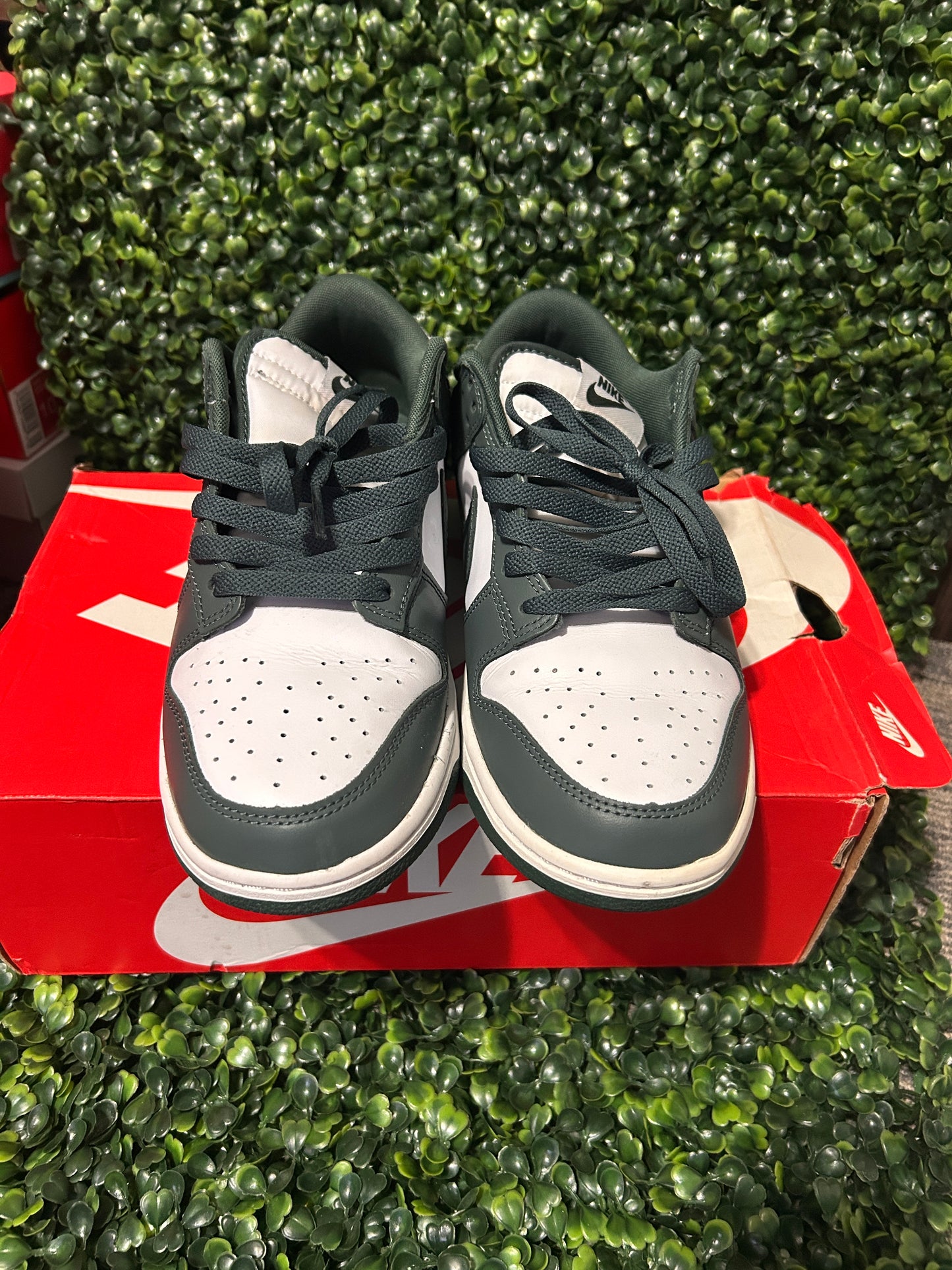 Nike dunk