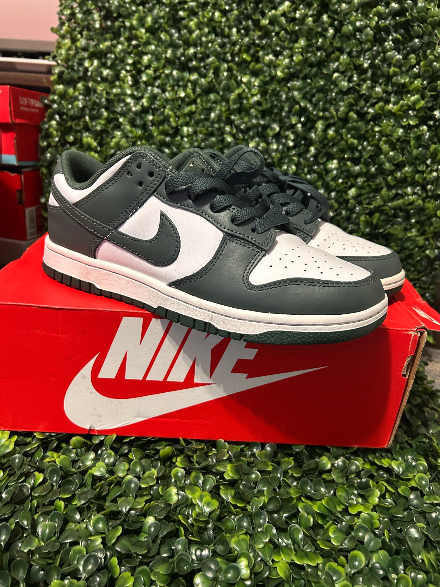 Nike dunk