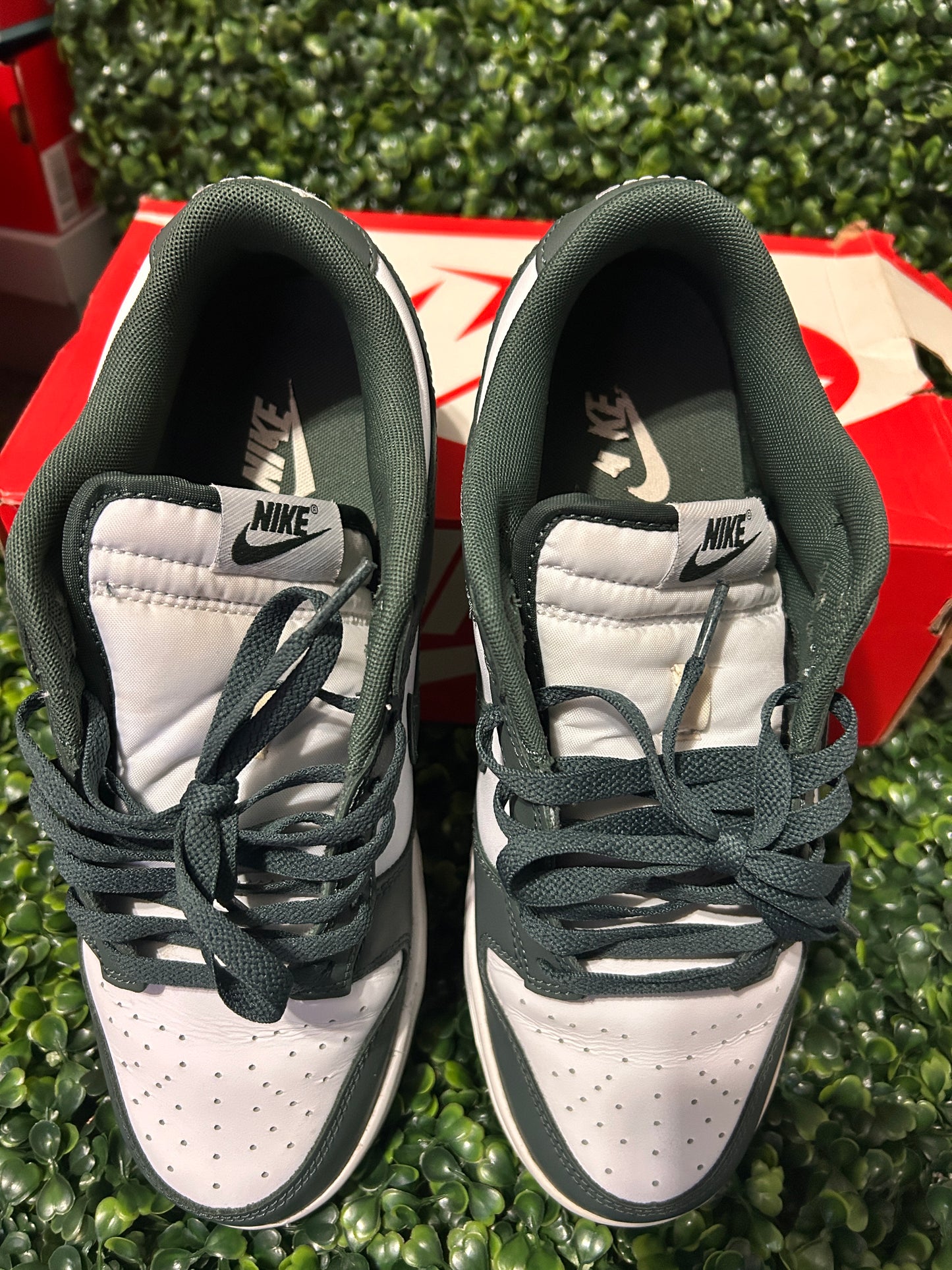 Nike dunk