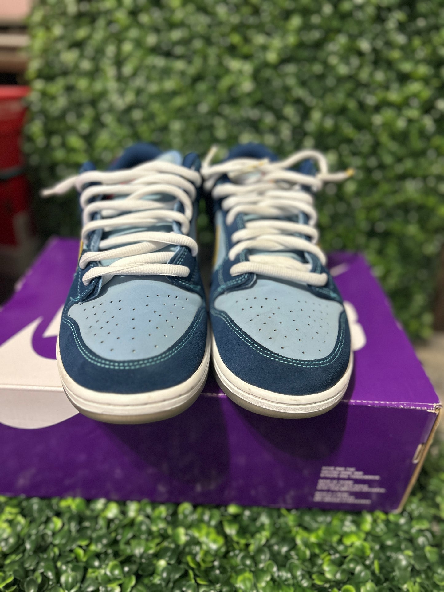 Nike dunk sb