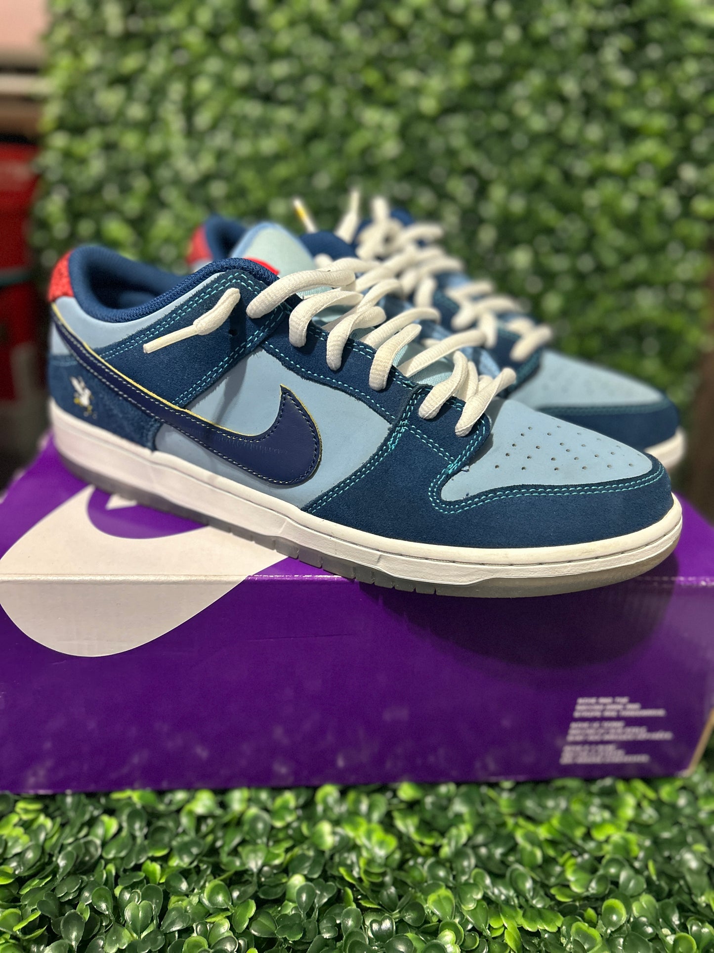 Nike dunk sb