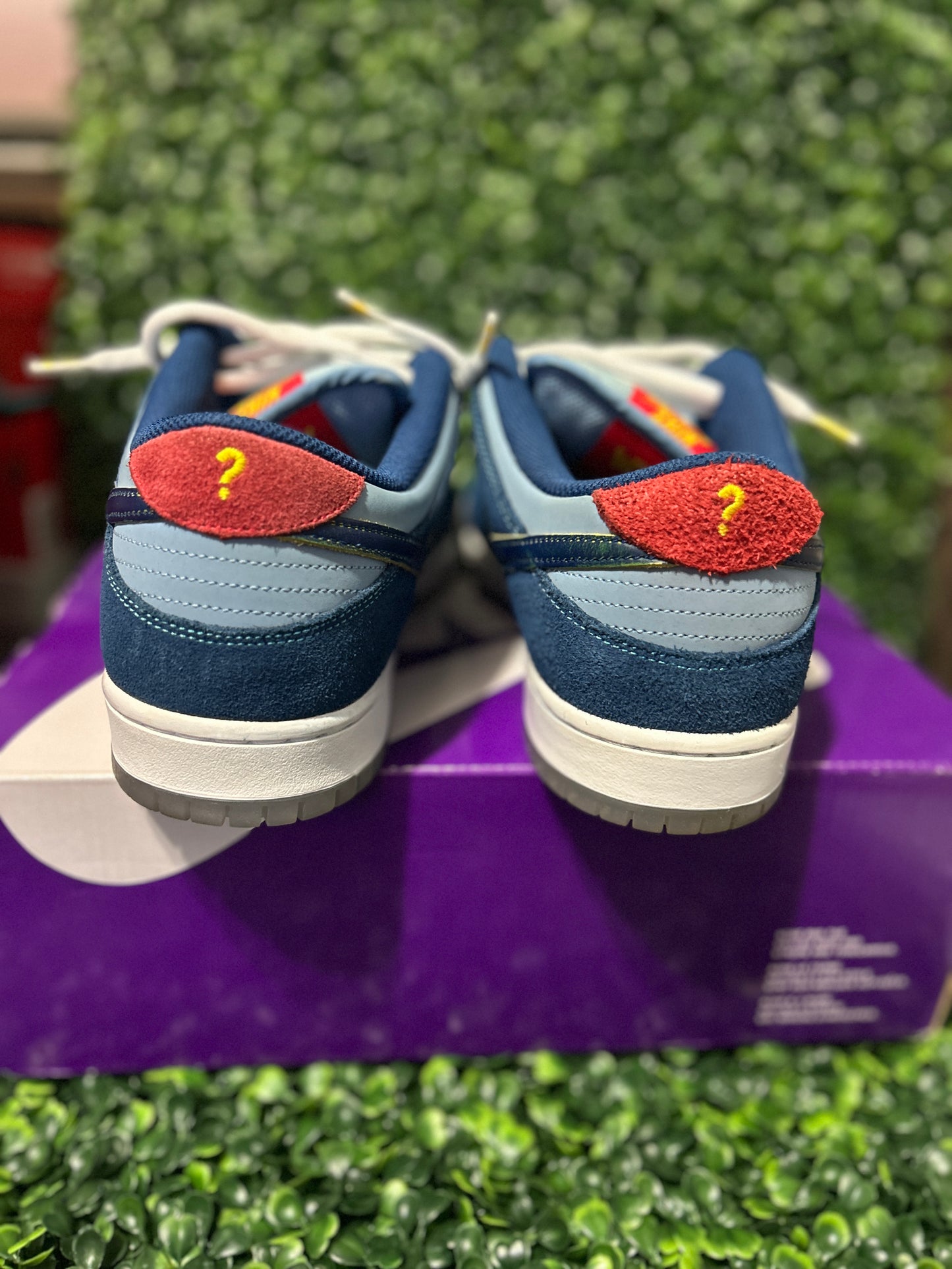 Nike dunk sb