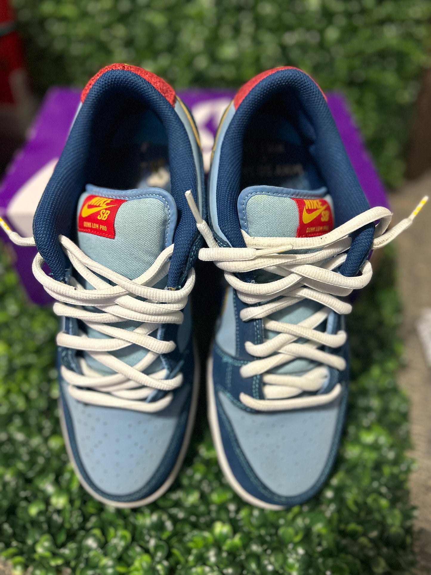 Nike dunk sb