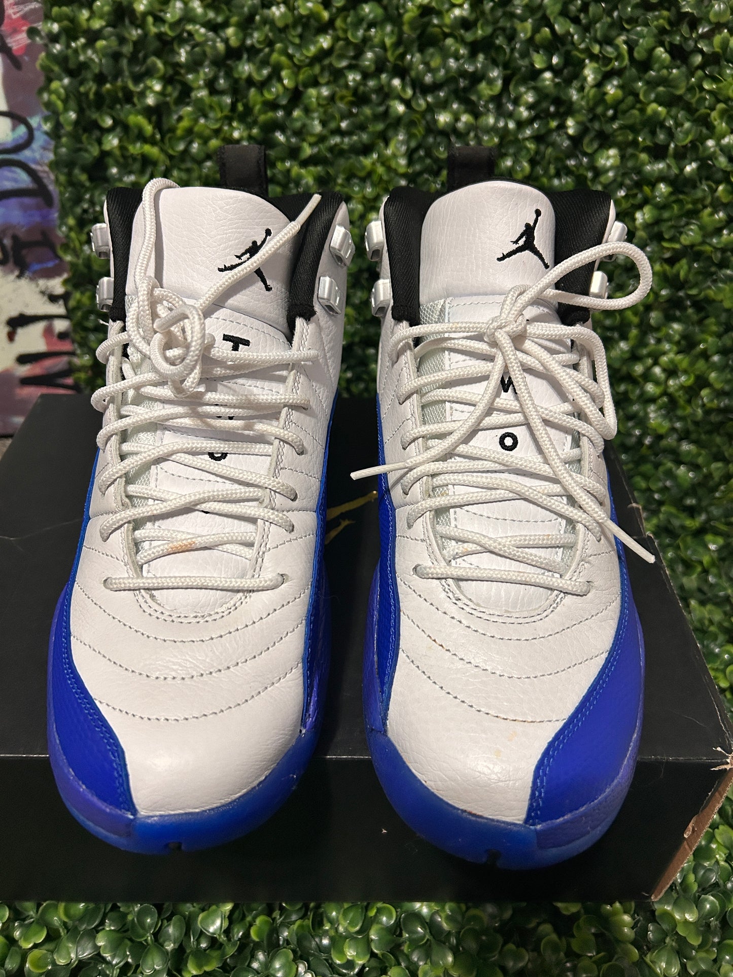 Jordan 12