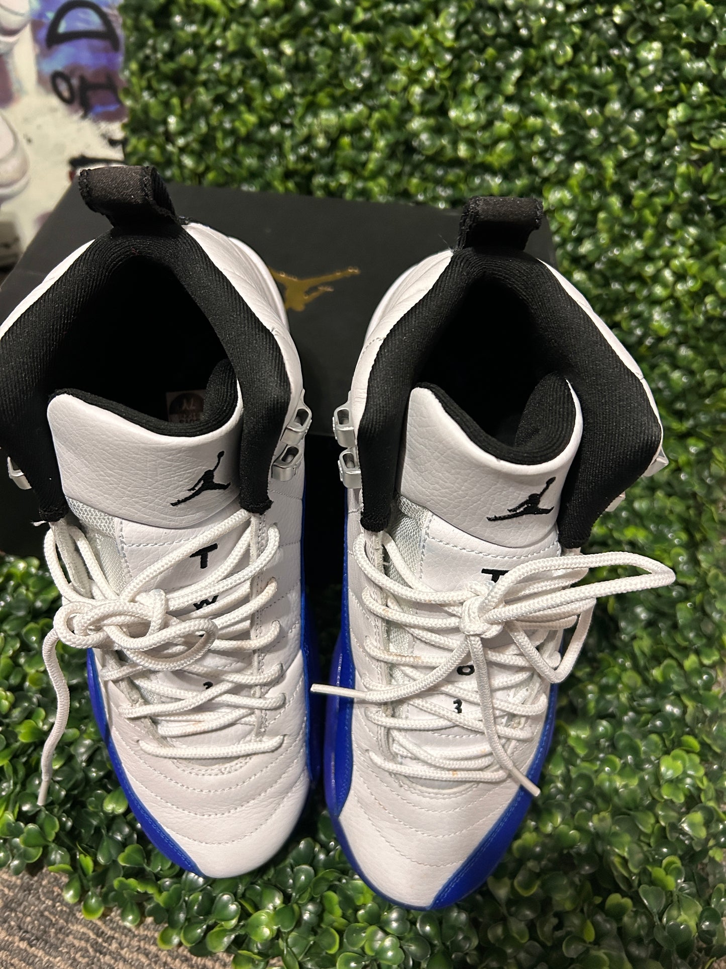 Jordan 12
