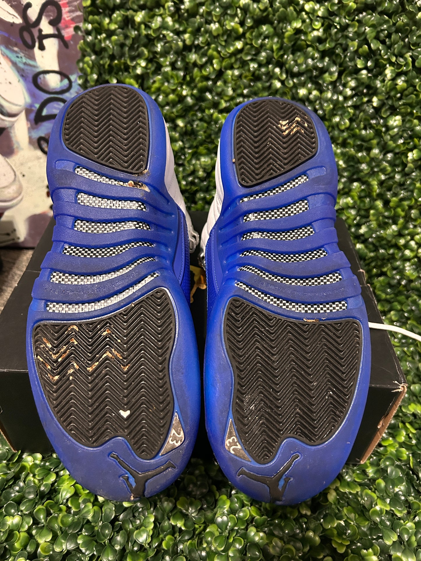 Jordan 12