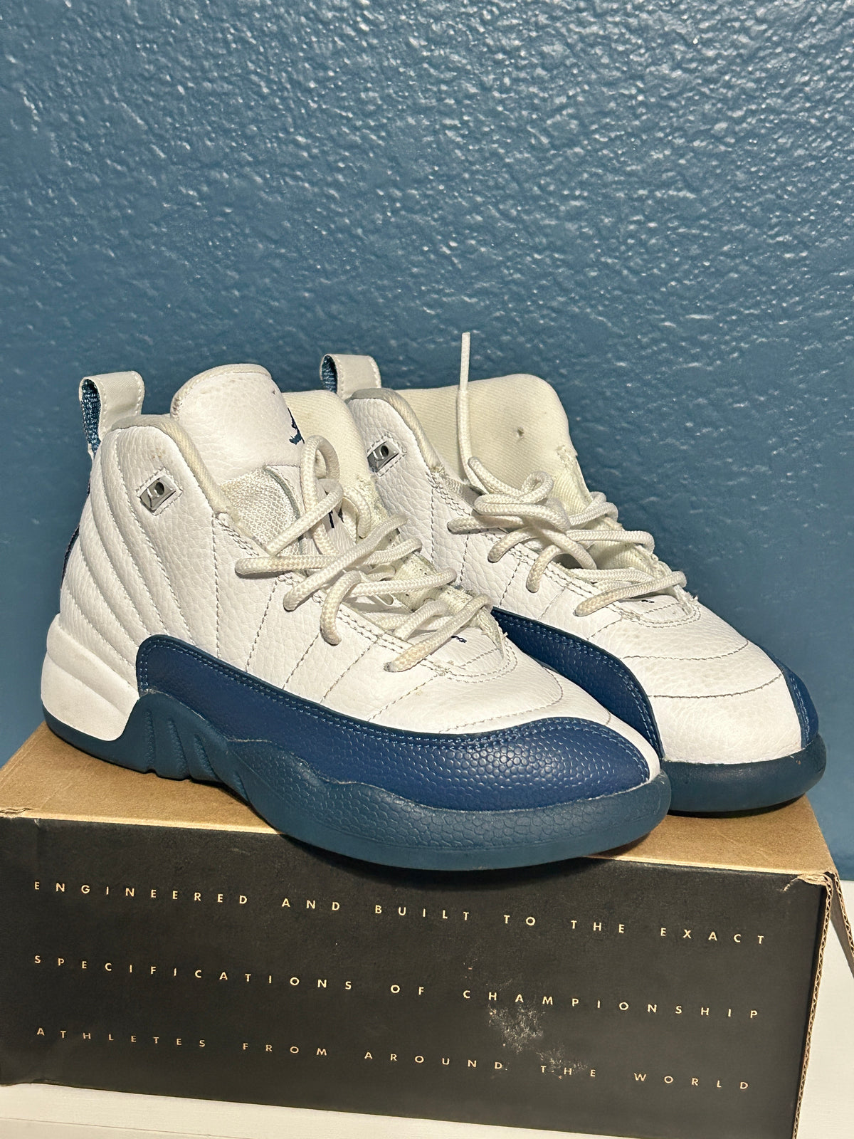 Jordan 12