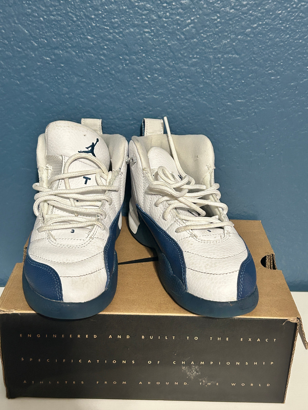 Jordan 12