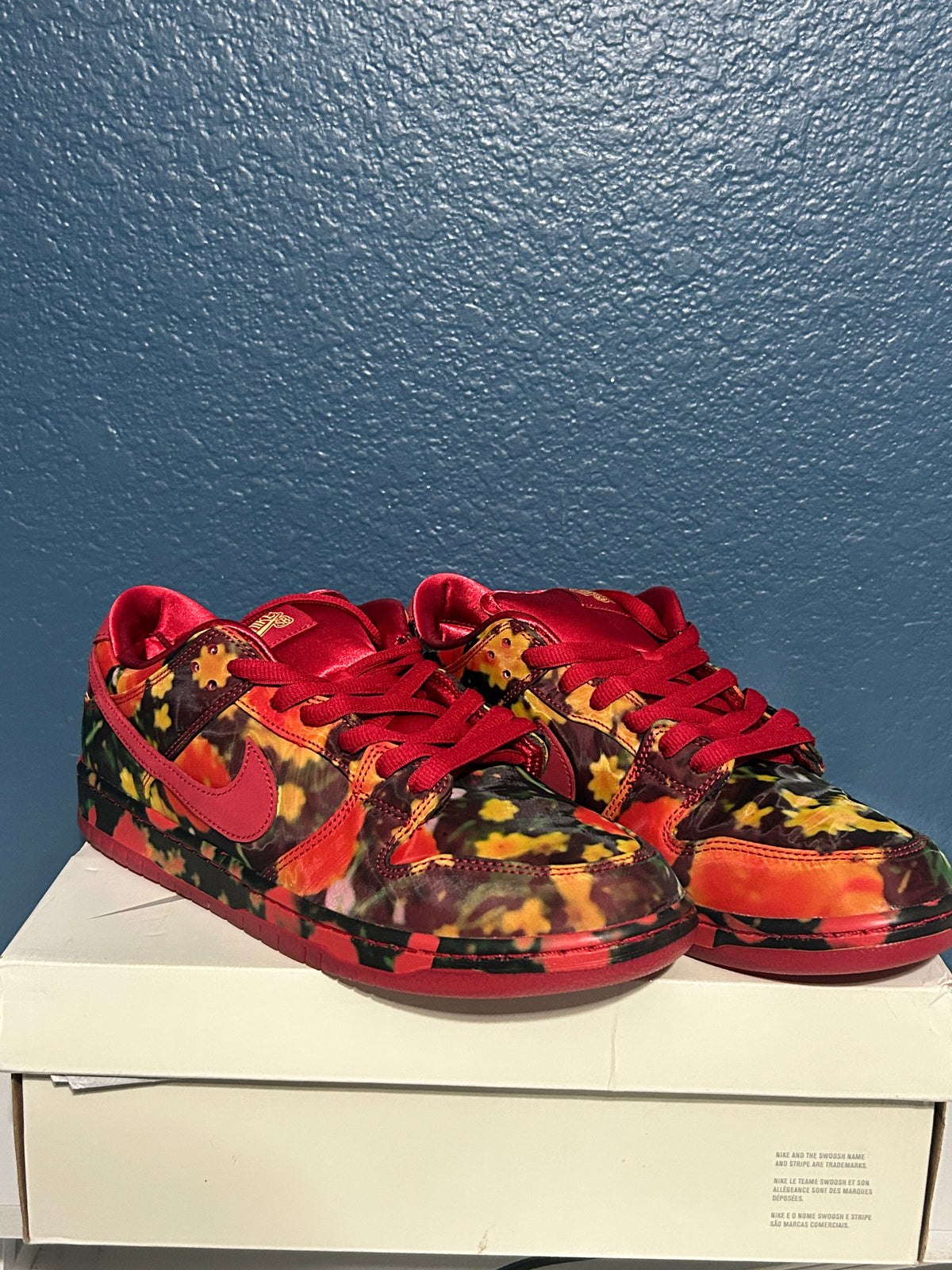 Nike sb dunk