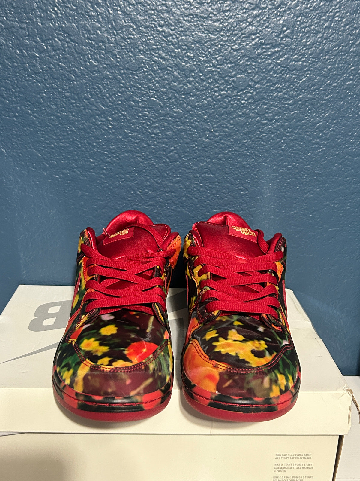 Nike sb dunk