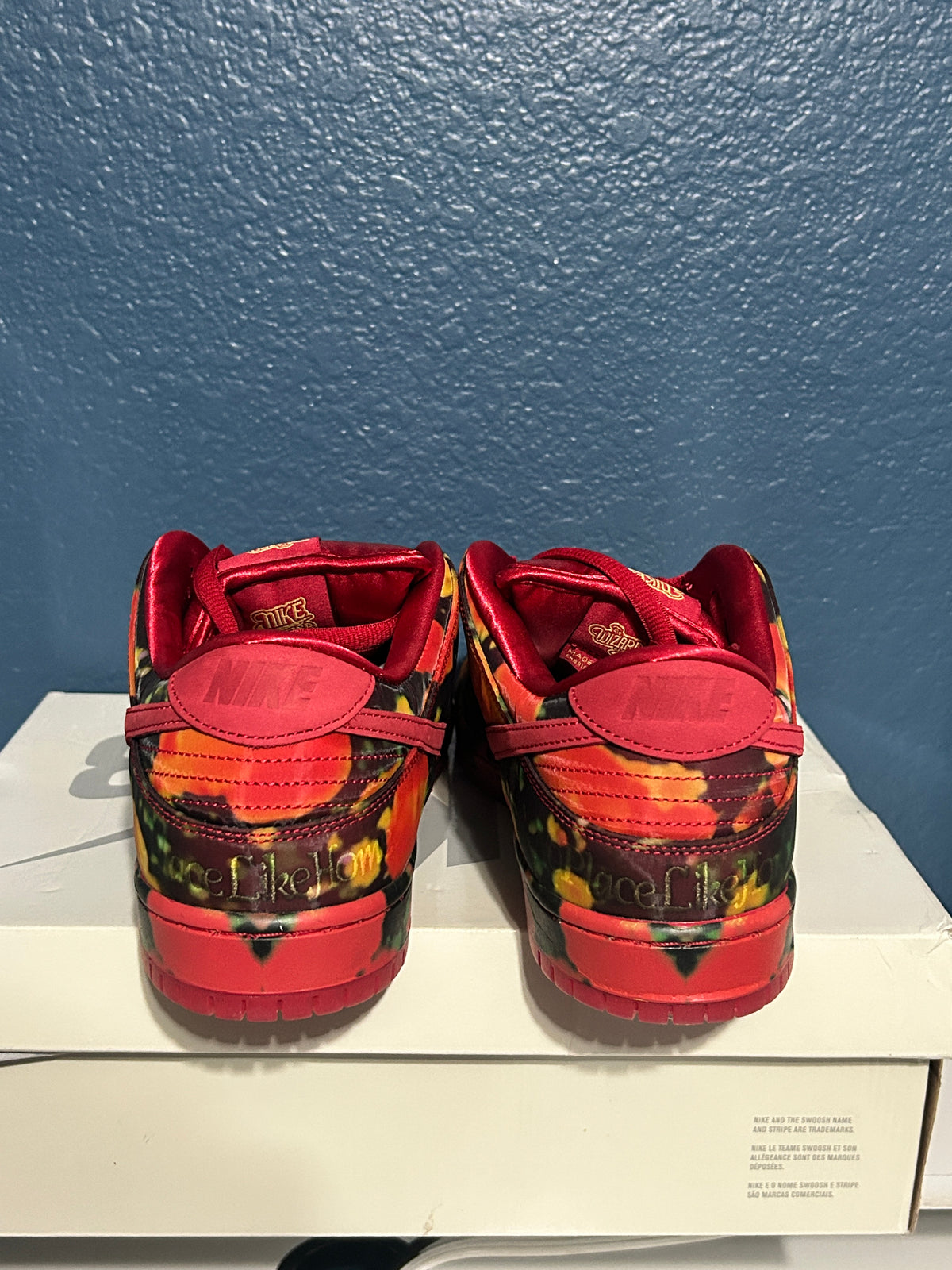 Nike sb dunk