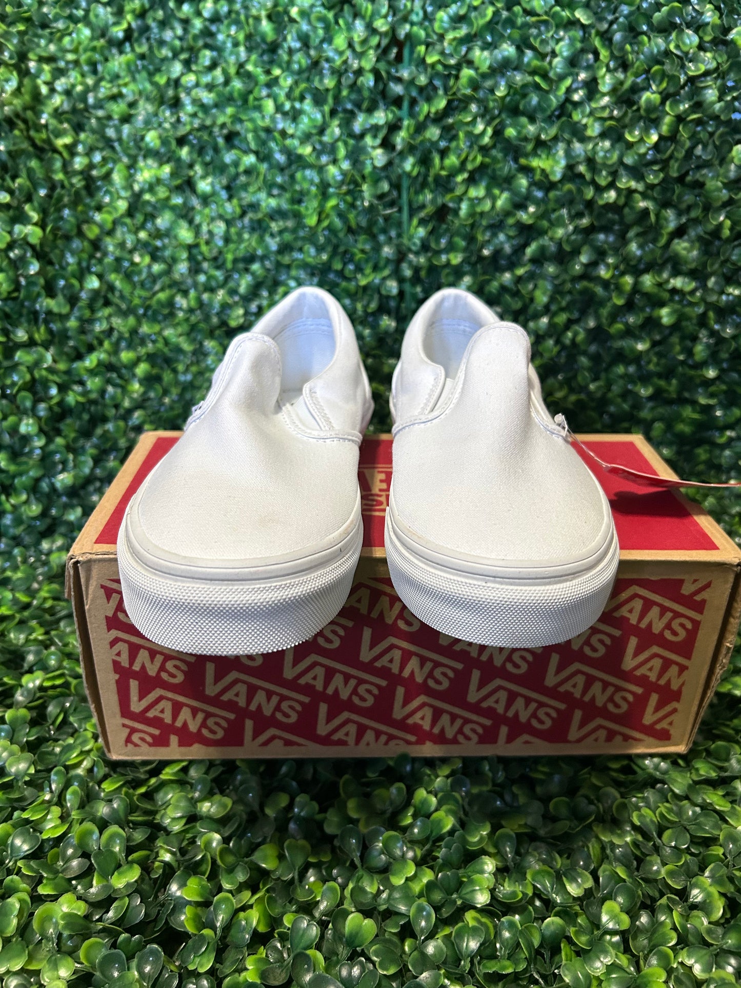 Vans size 3.5y