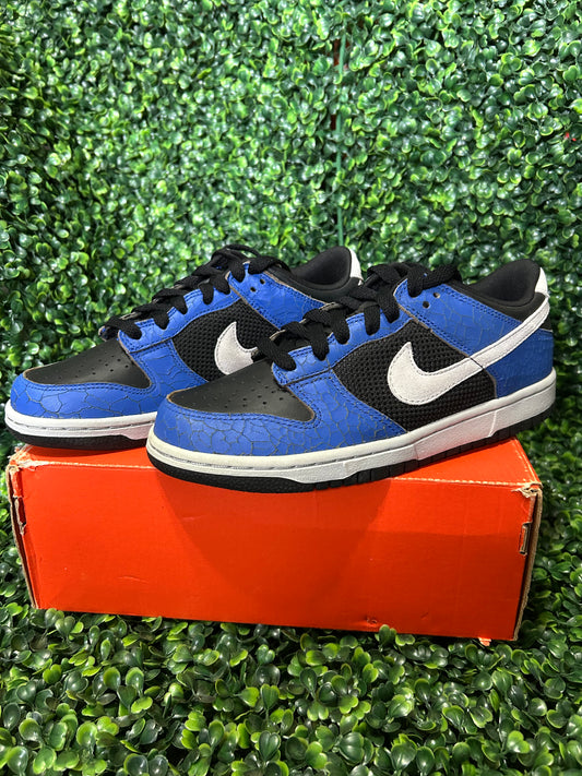 Nike dunk low size 6y