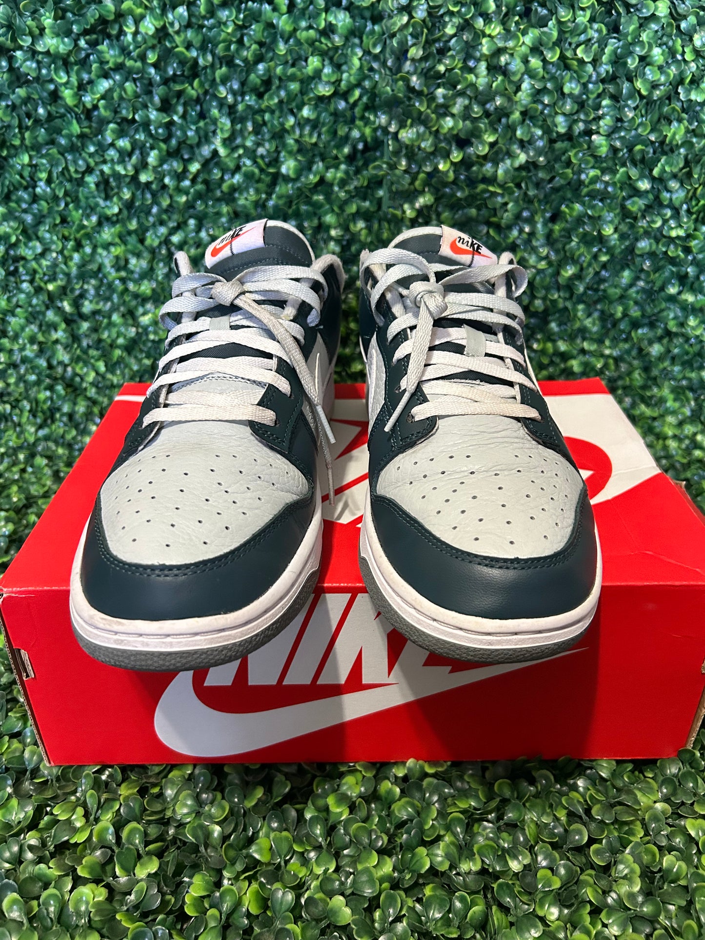 Nike dunk size 11.5