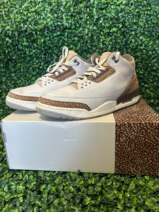Jordan 3 size 12.5