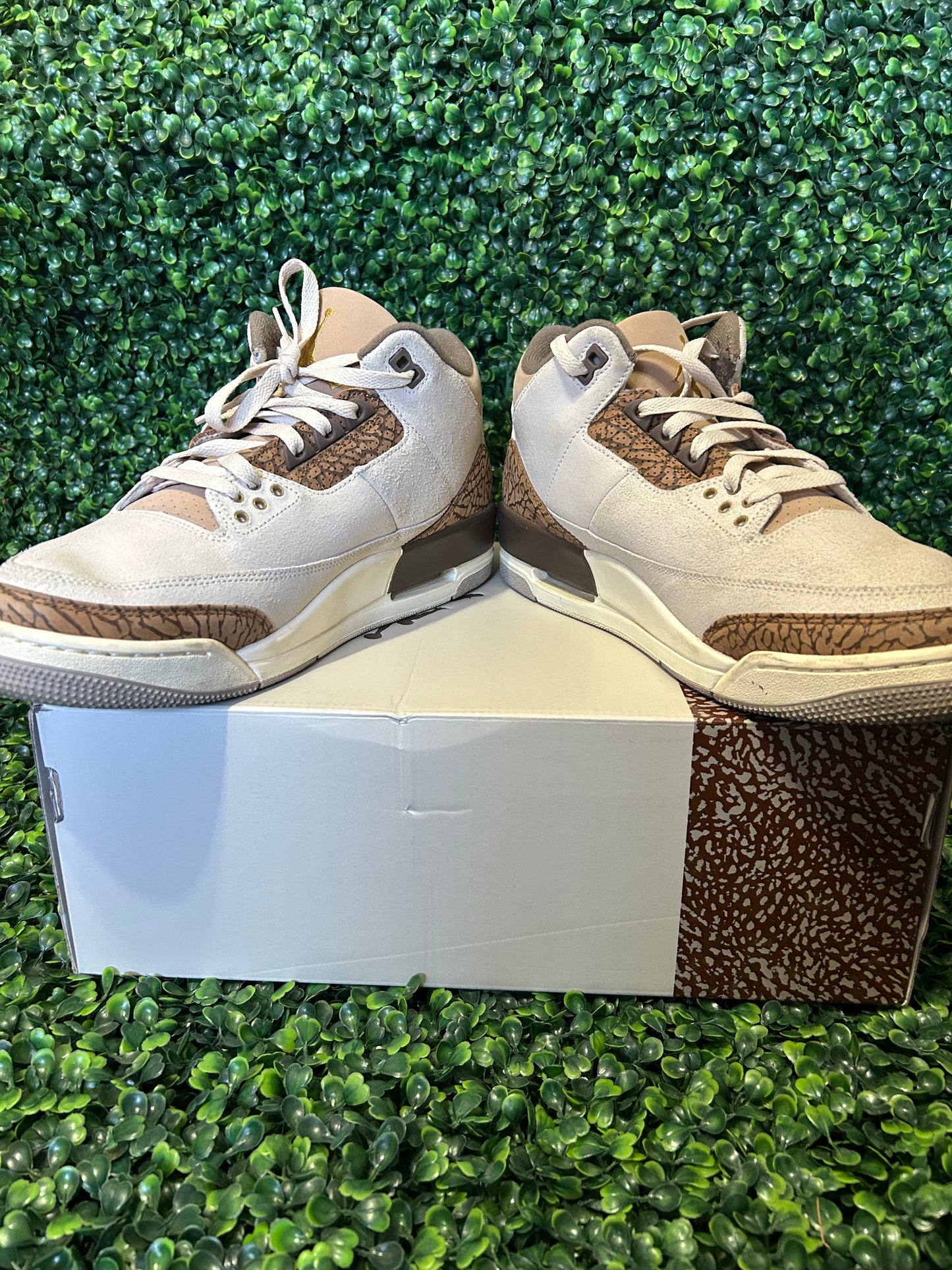 Jordan 3 size 12.5