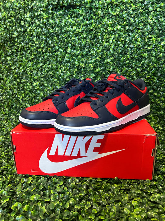Nike dunk size 10 size 12