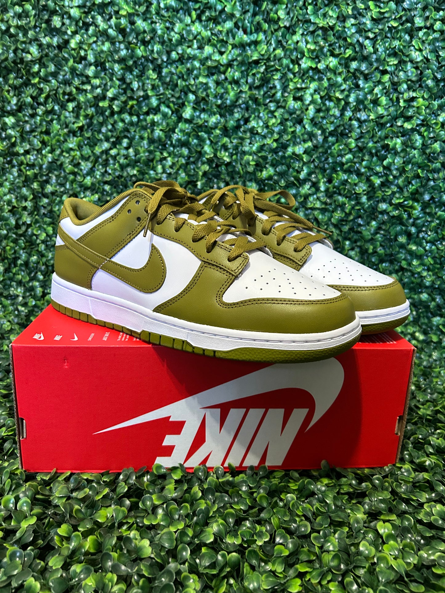 Nike dunk size 12